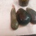 羊胆、干