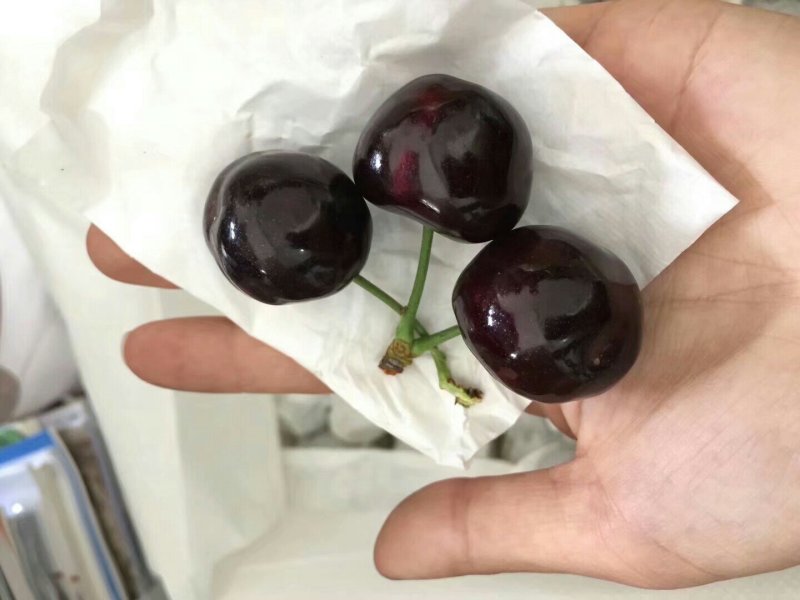 套袋红灯车厘子大樱桃黑珍珠，产量大，耐运输