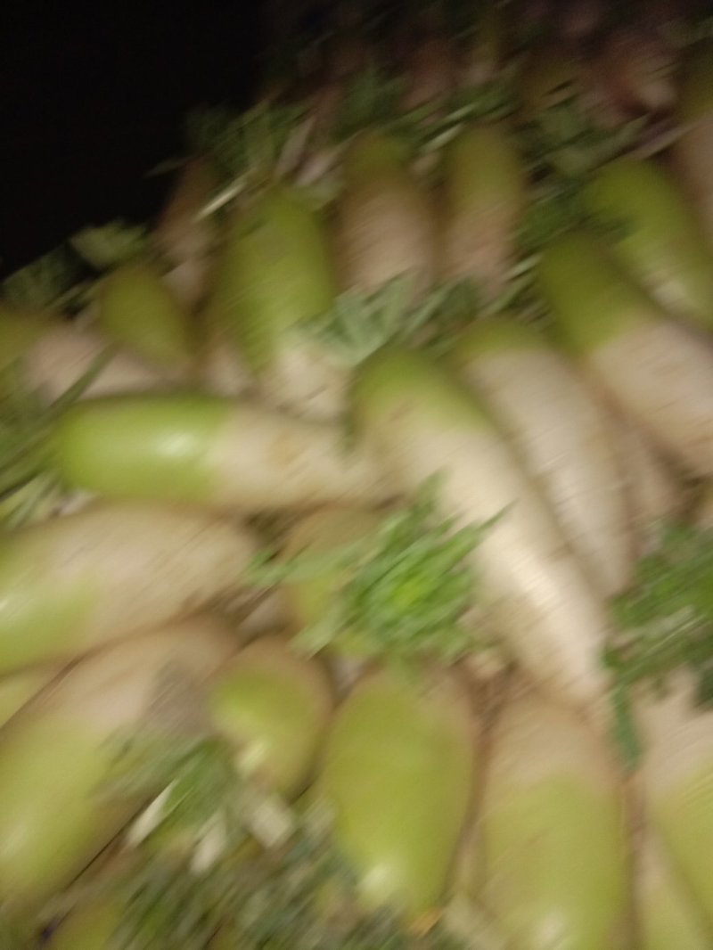 萝卜