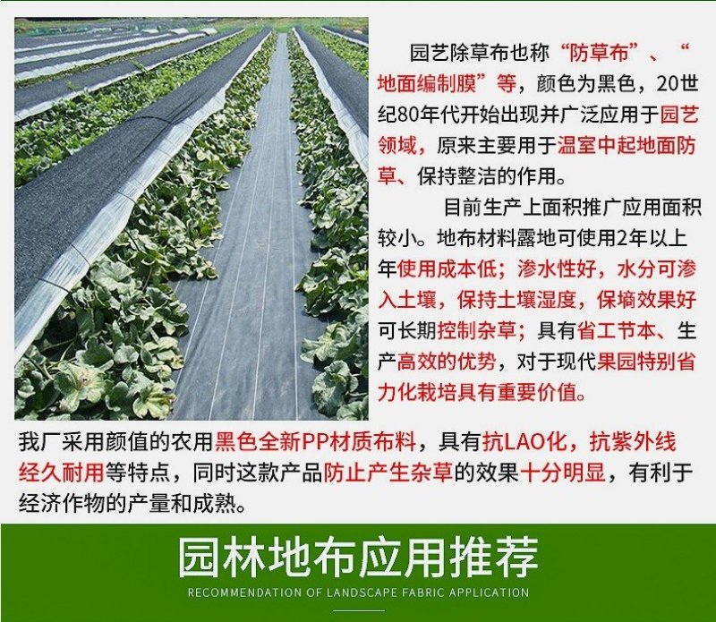 厂家直销园艺地布防草布果园除草布果树防草大棚抑草布地布除