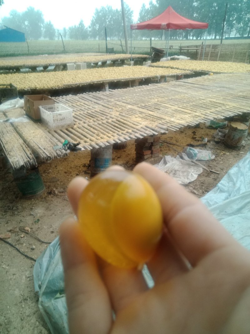 河南五香变蛋双黄变蛋大量通货
