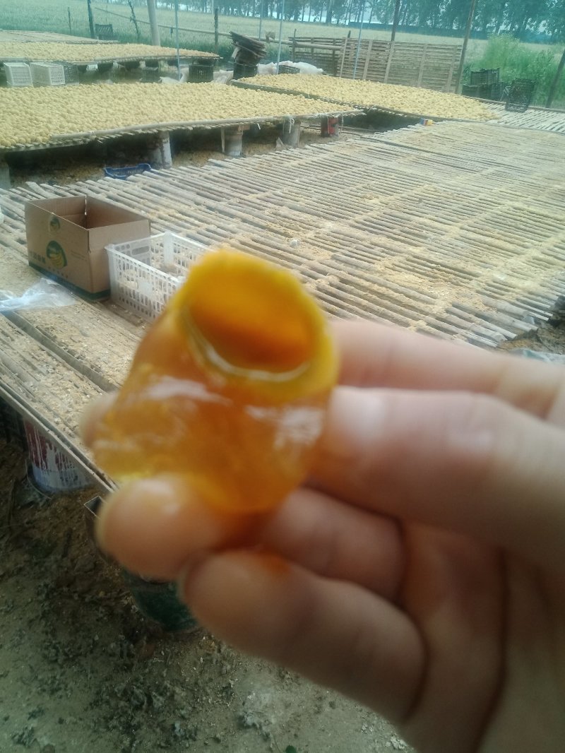 河南五香变蛋双黄变蛋大量通货