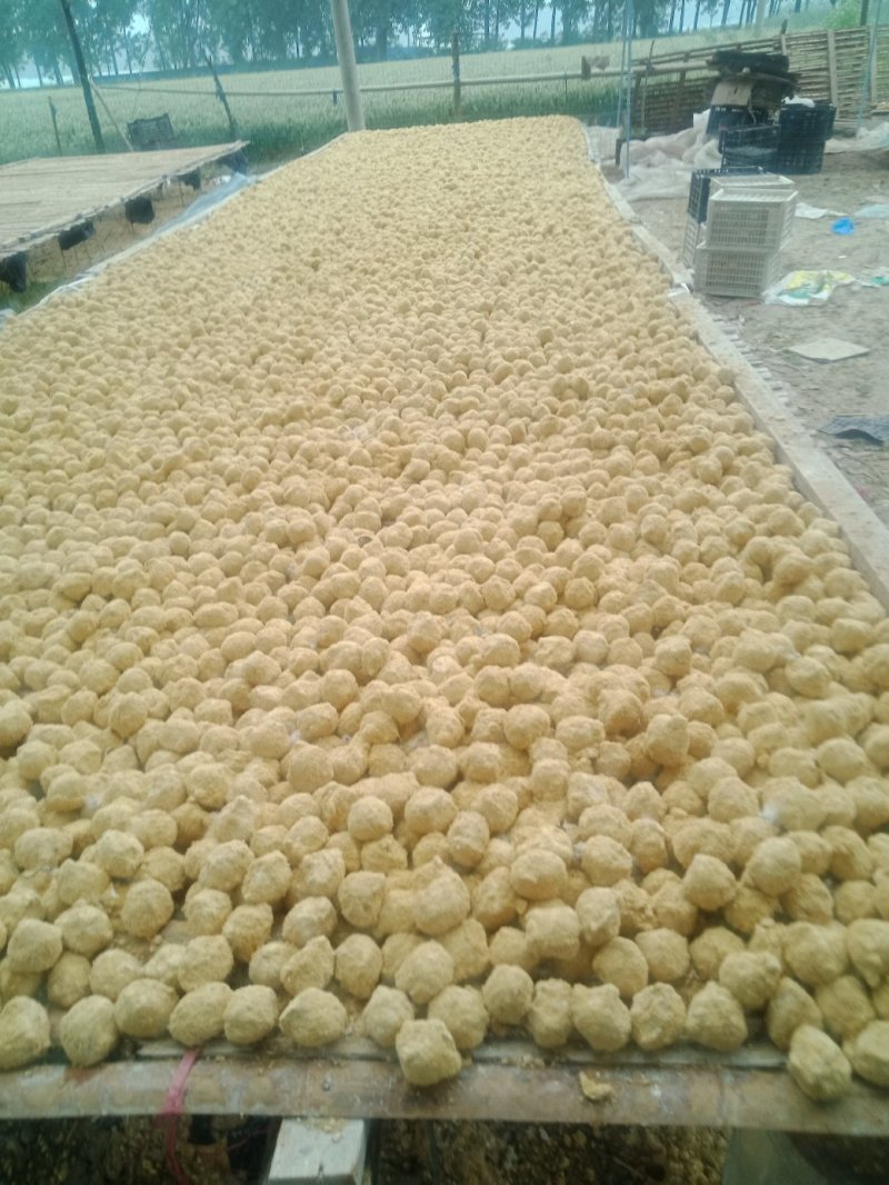 河南五香变蛋双黄变蛋大量通货
