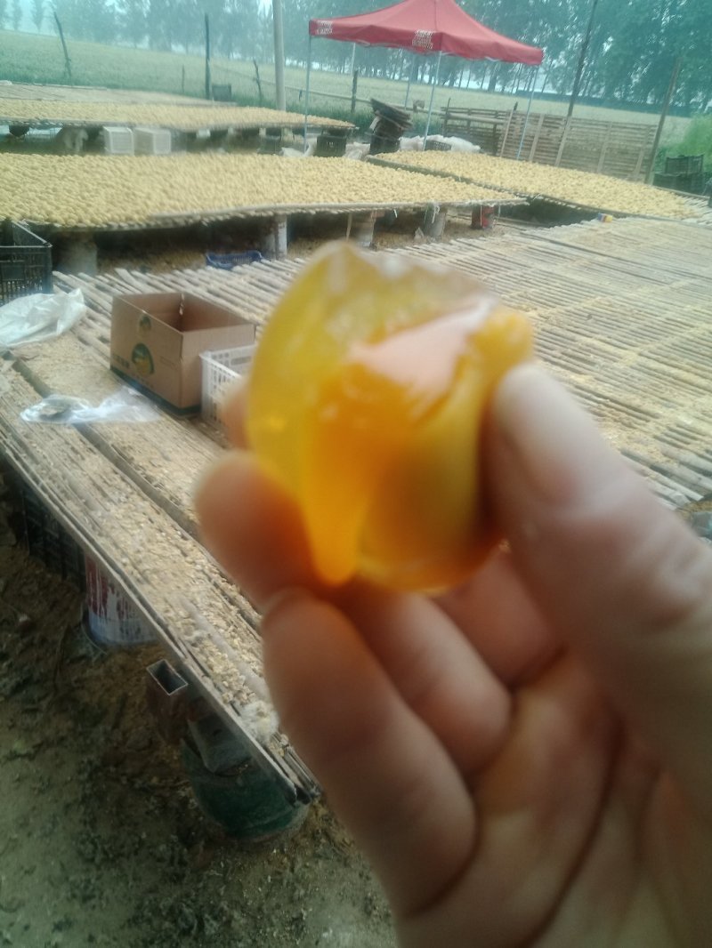 河南五香变蛋双黄变蛋大量通货