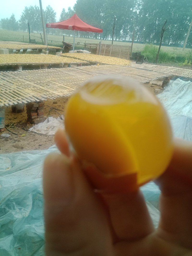 河南五香变蛋双黄变蛋大量通货