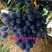 玫瑰香1~2斤5%以下