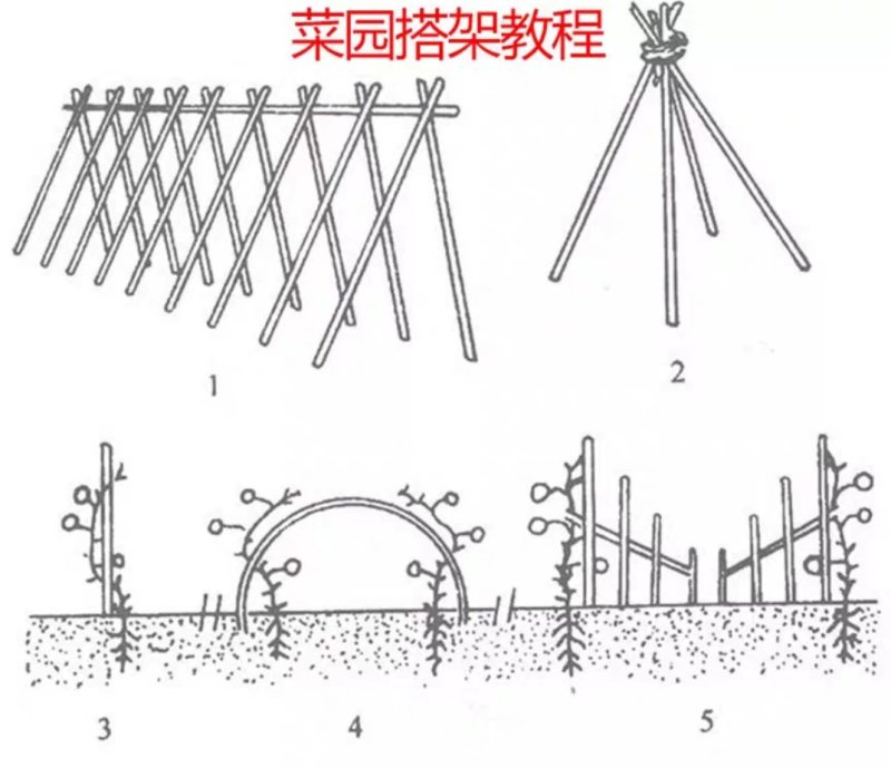 竹竿可以塔菜棚用途随便塔自家竹竿量大优惠