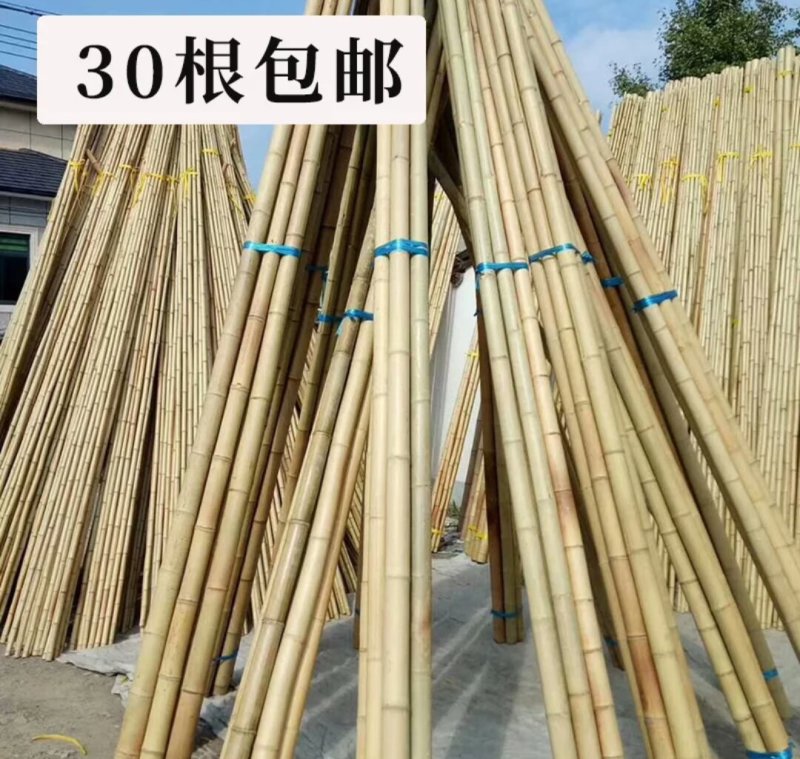 竹竿可以塔菜棚用途随便塔自家竹竿量大优惠