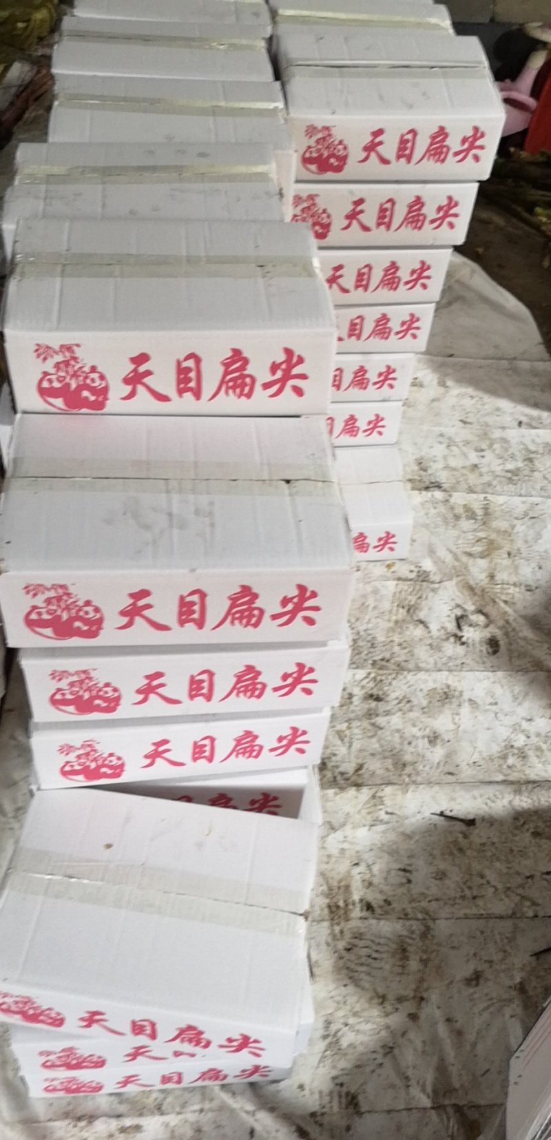 笋干