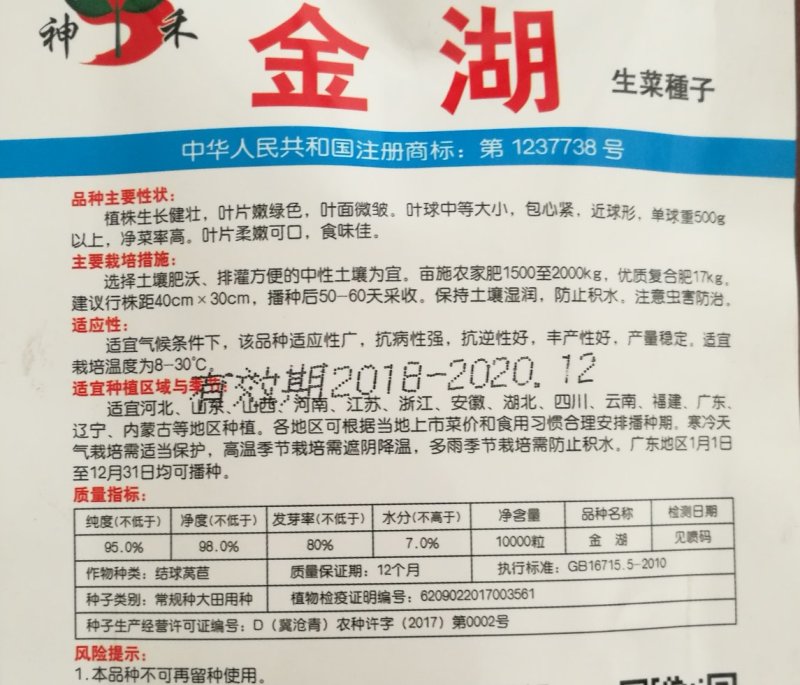 生菜种子一万粒/袋结球生菜种子