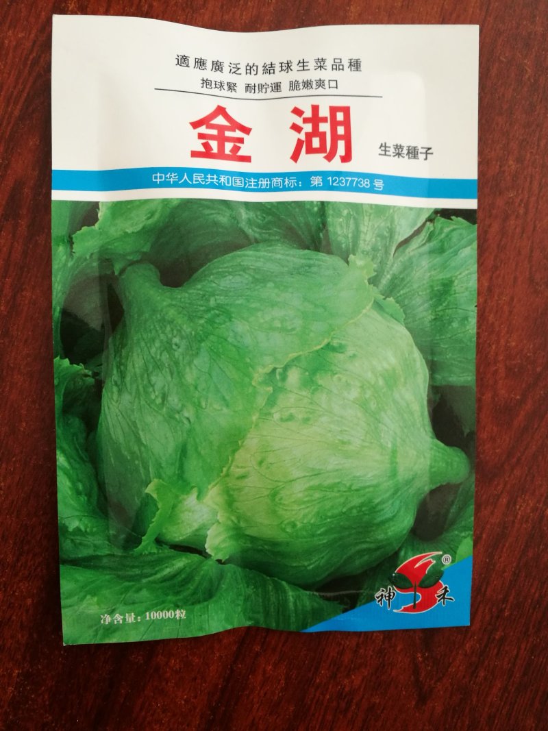 生菜种子一万粒/袋结球生菜种子