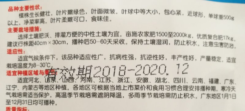生菜种子一万粒/袋结球生菜种子