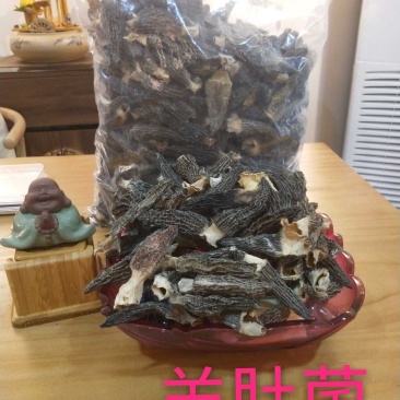 野生菌