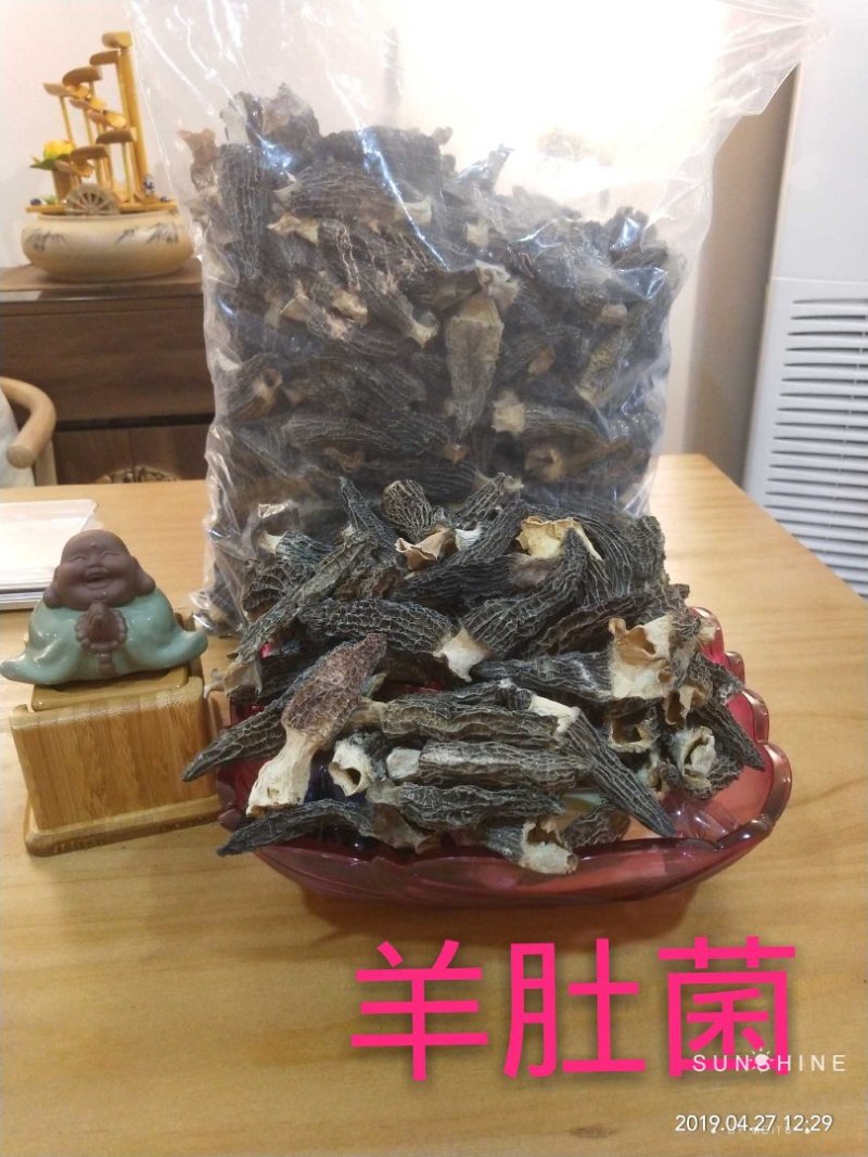 野生菌