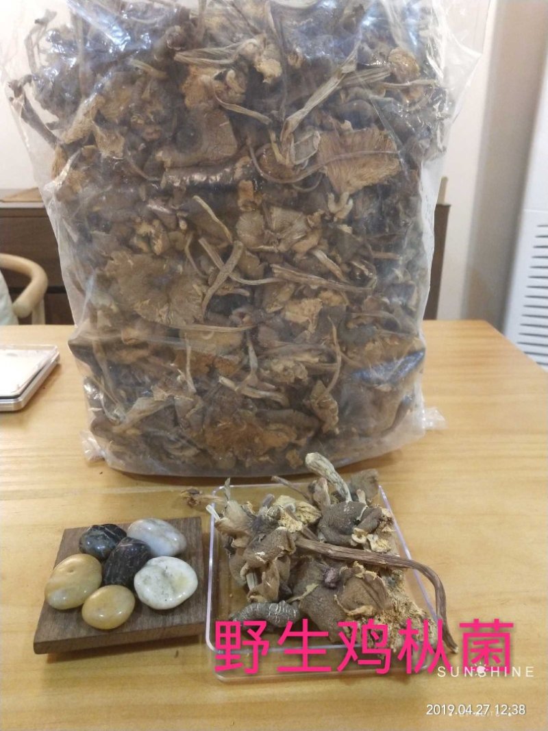 野生菌