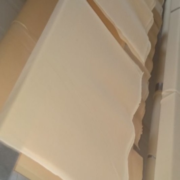 豆制品豆皮