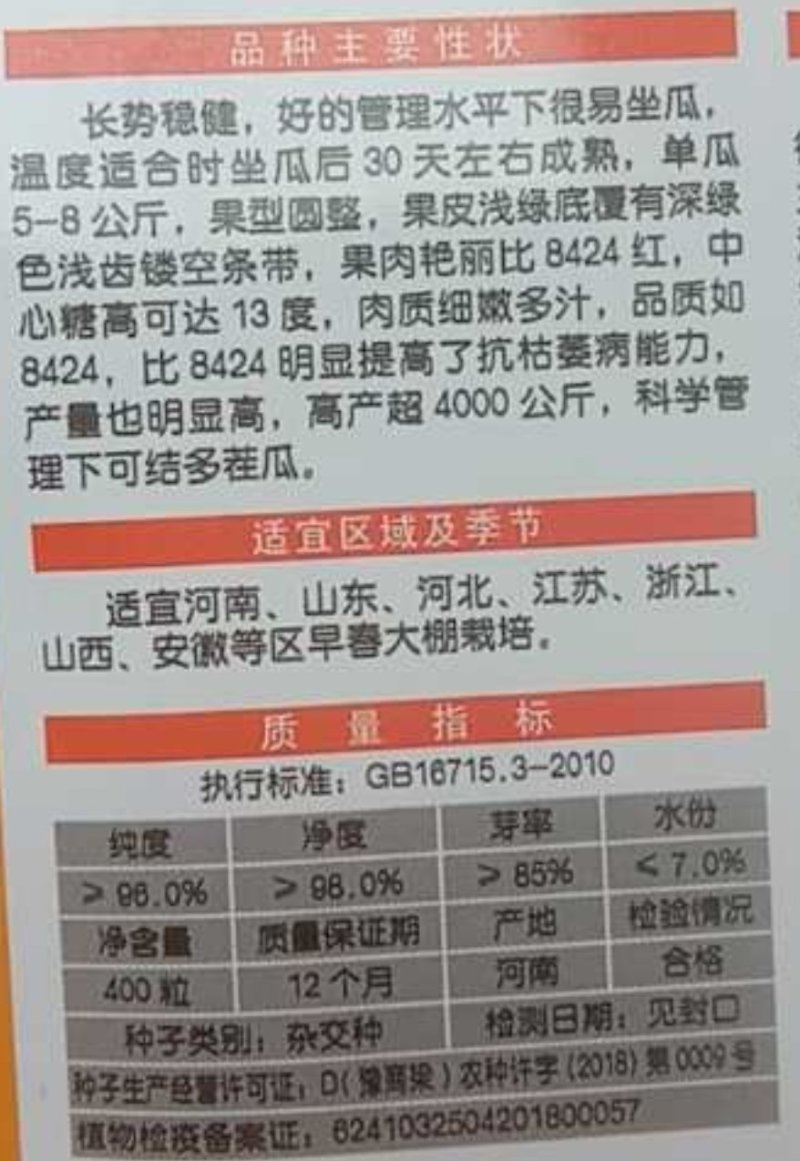 申都968西瓜短圆球形重茬不死苗耐雨水不裂果的8424