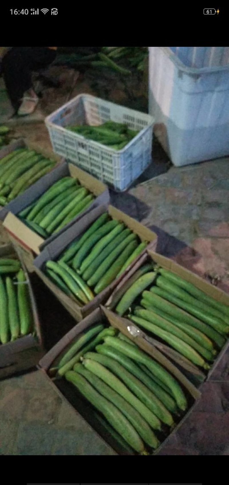 精品丝瓜