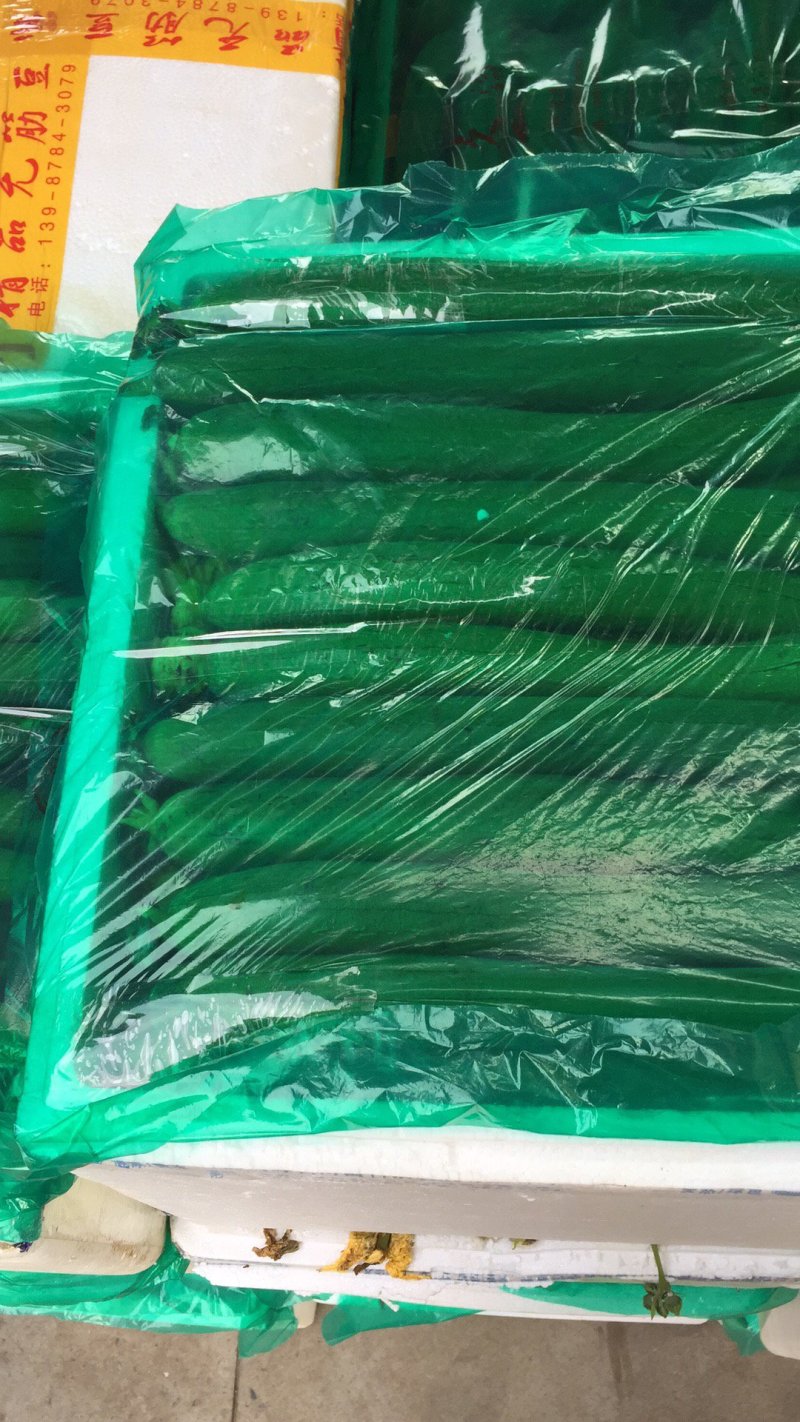 精品丝瓜