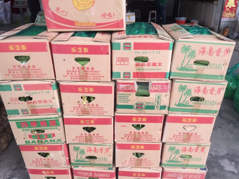 精品丝瓜