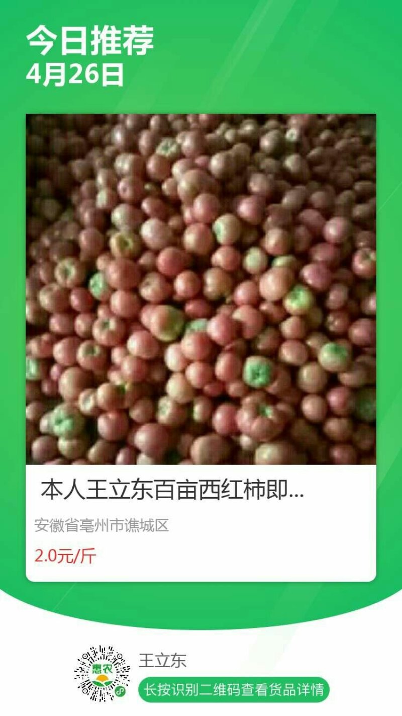 硬粉西红柿，弧三以上