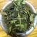 2019年头春白茶
