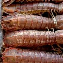 皮皮虾，熟冻，保肥满肉，一手货源，质量保证，价格，