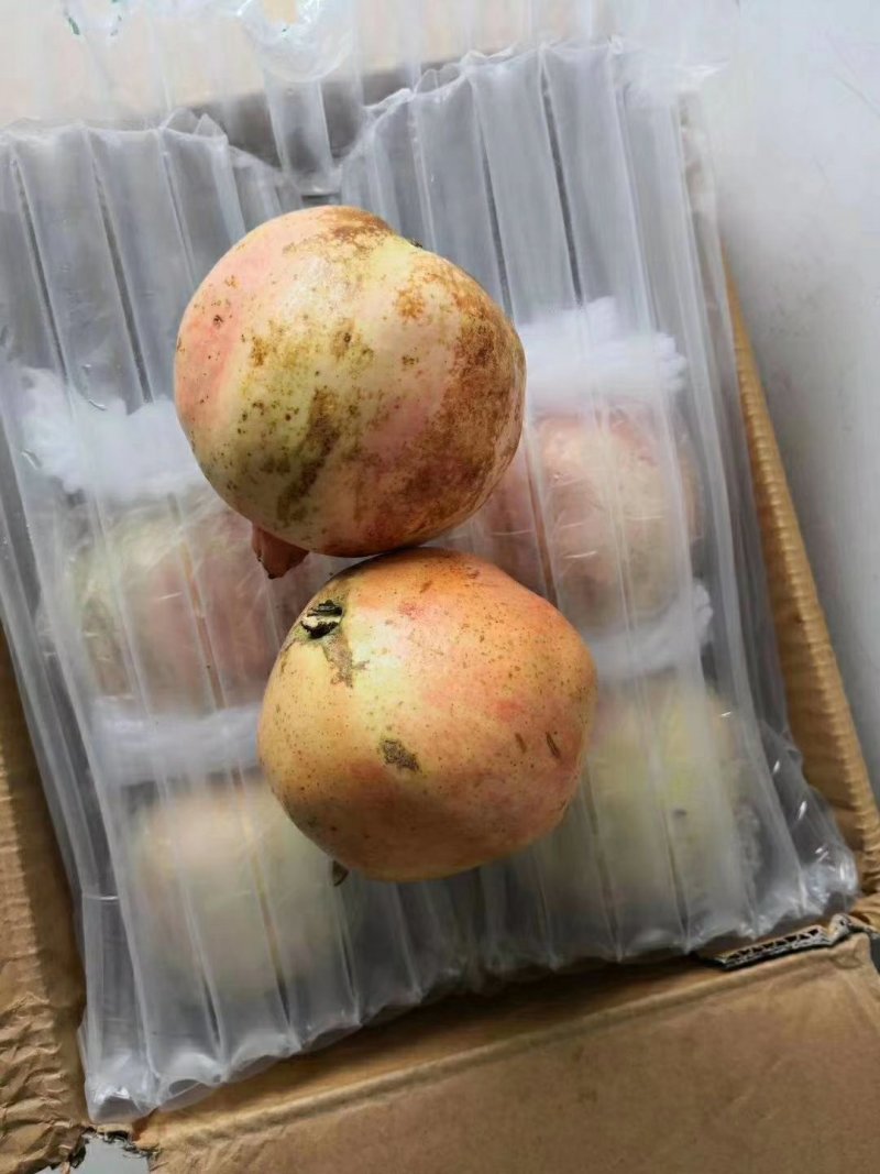 7柱苹果石榴缓冲气柱袋包装！支持定制（免费打样）