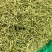 金银花头茬新货金银花山东河南金银花量大批发