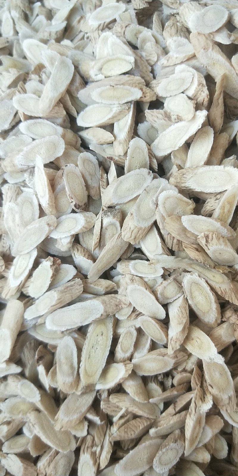 【有好货】批发零售甘肃黄芪，瓜子片，炙黄芪纯无硫