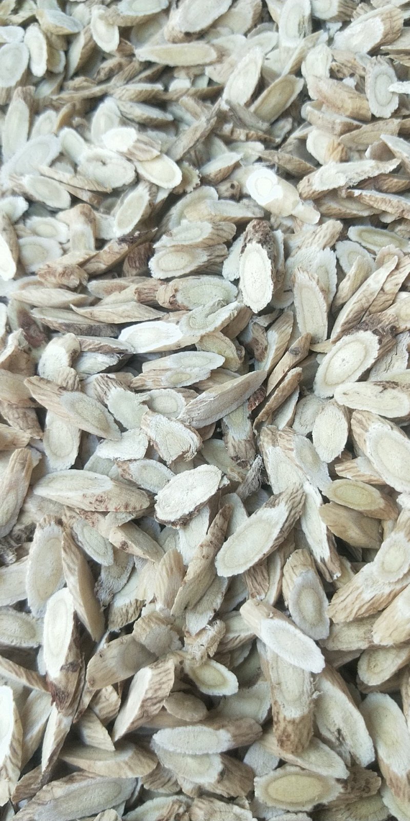 【有好货】批发零售甘肃黄芪，瓜子片，炙黄芪纯无硫