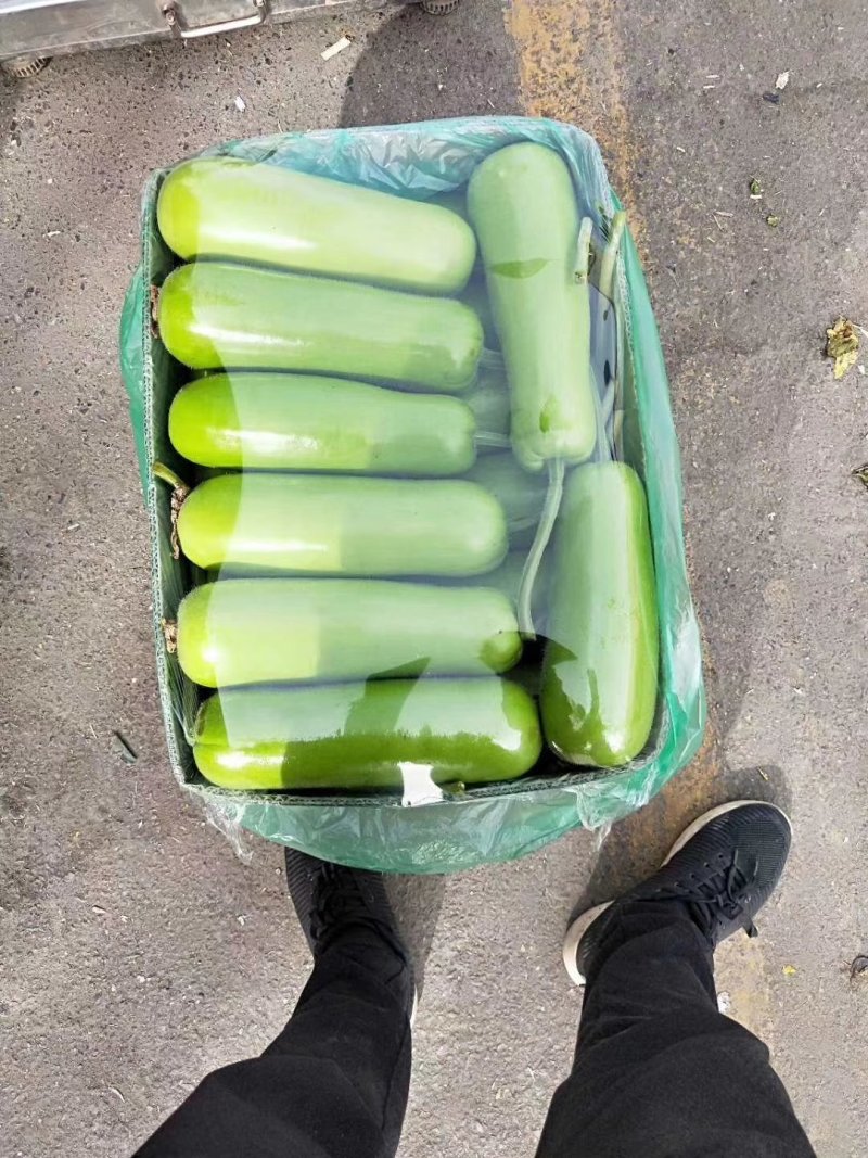 瓠子精品小短瓠子