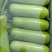 瓠子精品小短瓠子