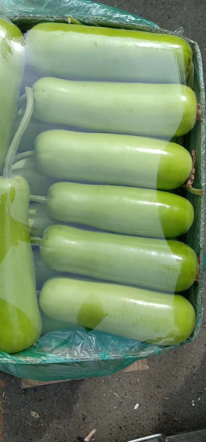 瓠子精品小短瓠子