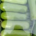 瓠子精品小短瓠子