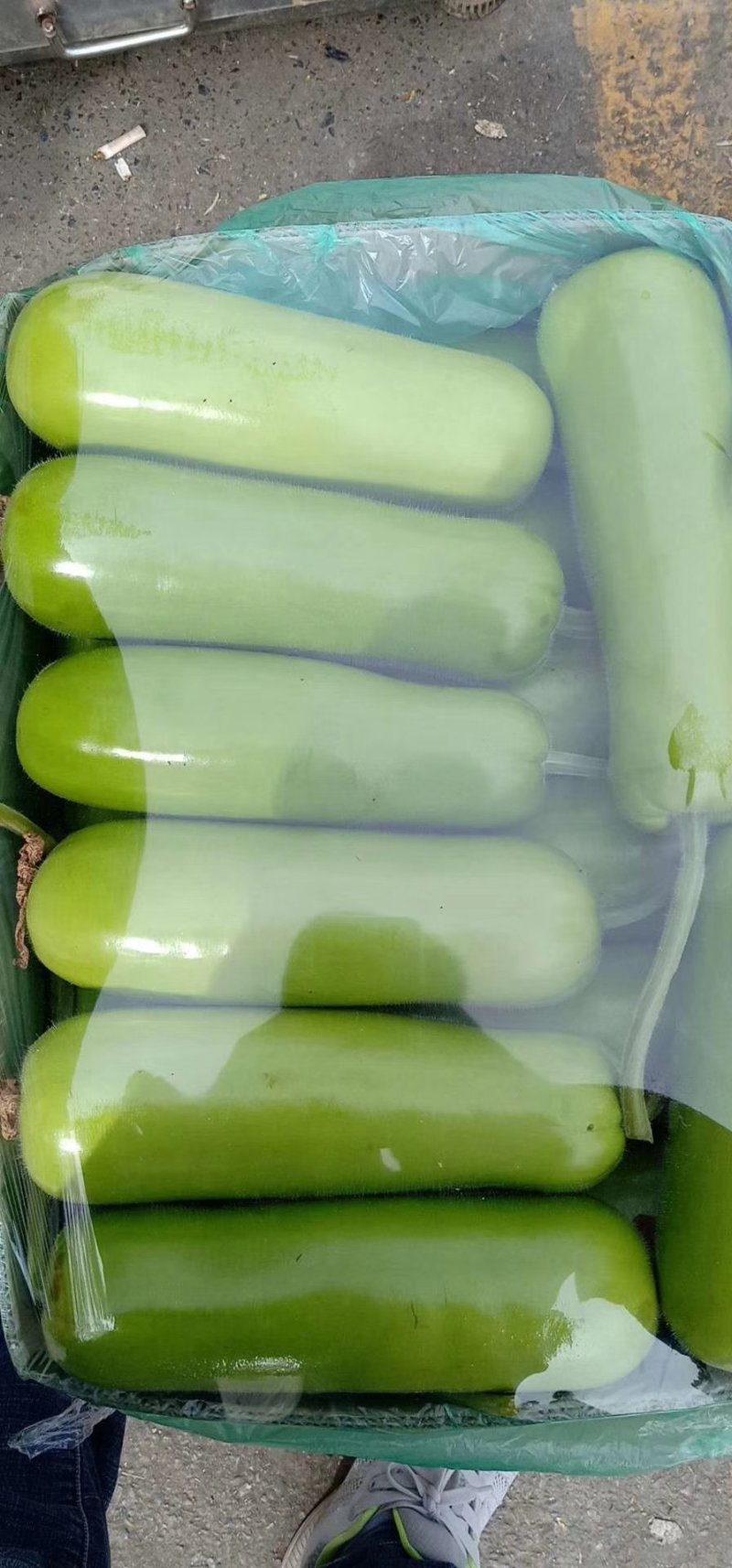 瓠子精品小短瓠子