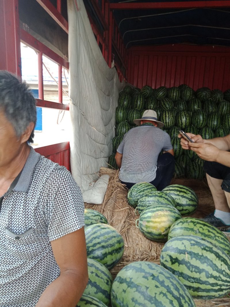 甜王西瓜大量上市上市中一级货源保熟保甜