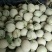 网纹香瓜上市