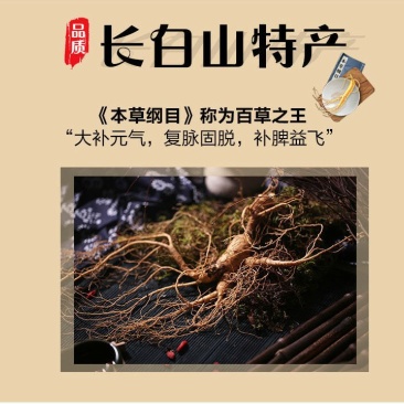 长白山鲜人参东北三宝之一