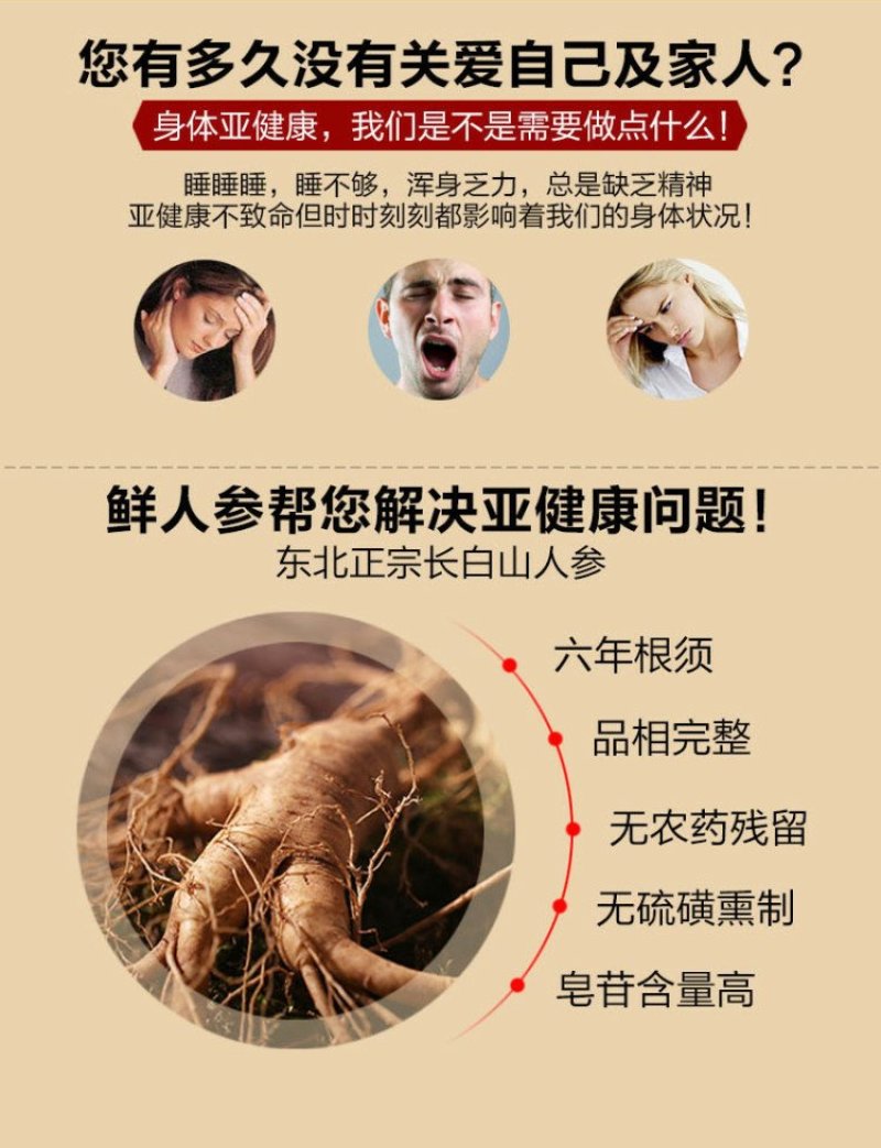 长白山鲜人参东北三宝之一