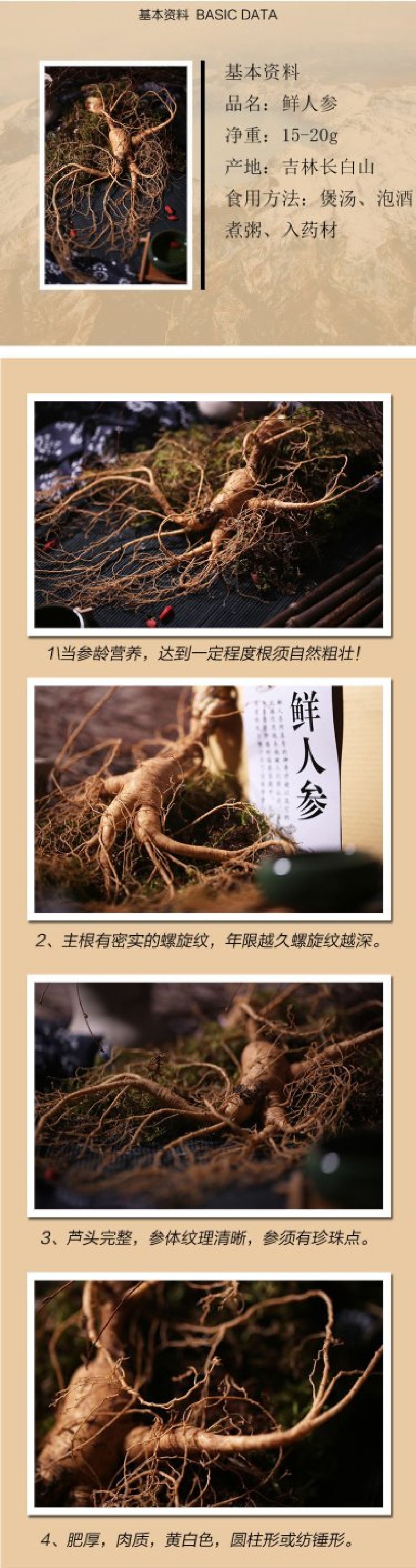长白山鲜人参东北三宝之一