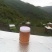野生蜂蜜