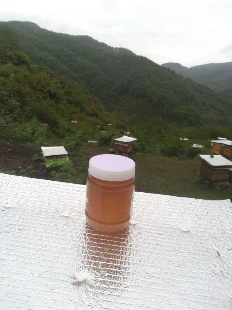 野生蜂蜜