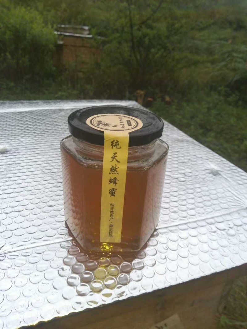 野生蜂蜜