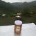 野生蜂蜜