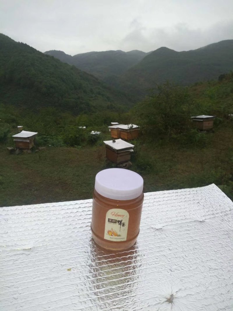 野生蜂蜜