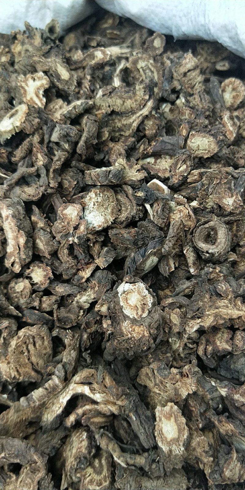 四川羌活，蚕羌，野生羌活供应上千种中药材