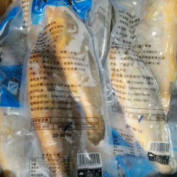 黄花鱼