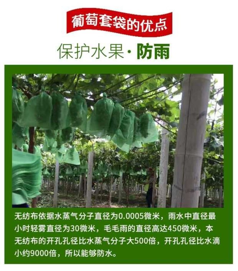 绿色阳光玫瑰专用套袋葡萄套袋特加厚葡萄套袋防鸟伞