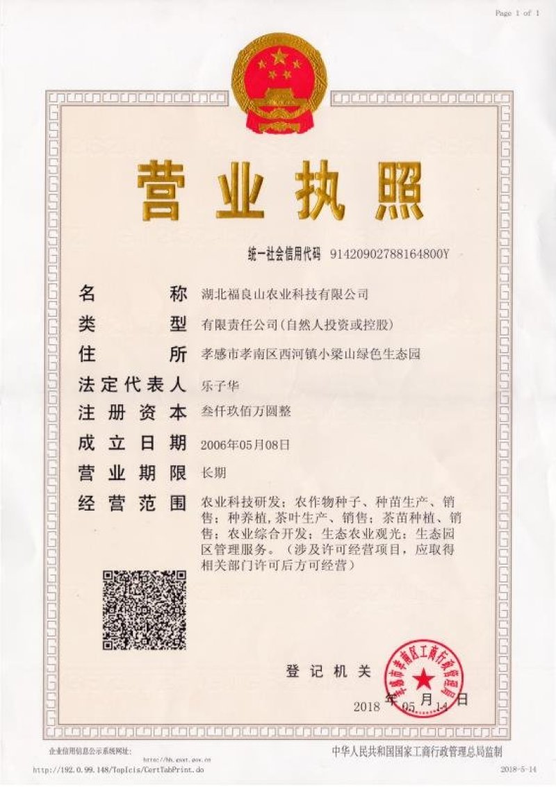 蕲艾艾叶即将收割百亩蕲艾基地直售